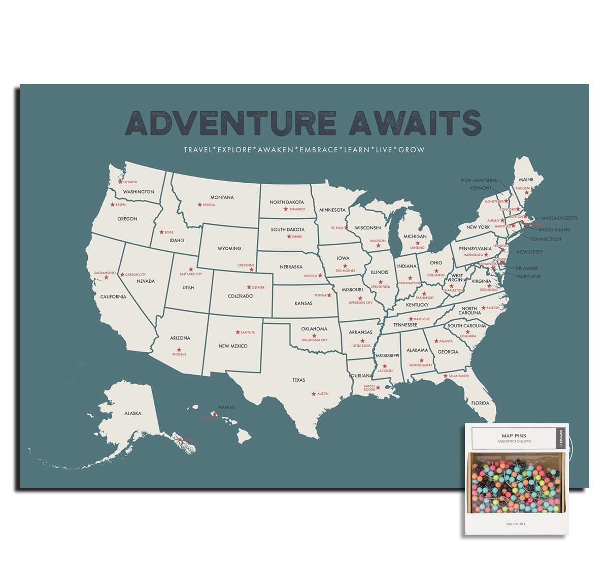 USA Pushpin Travel Map