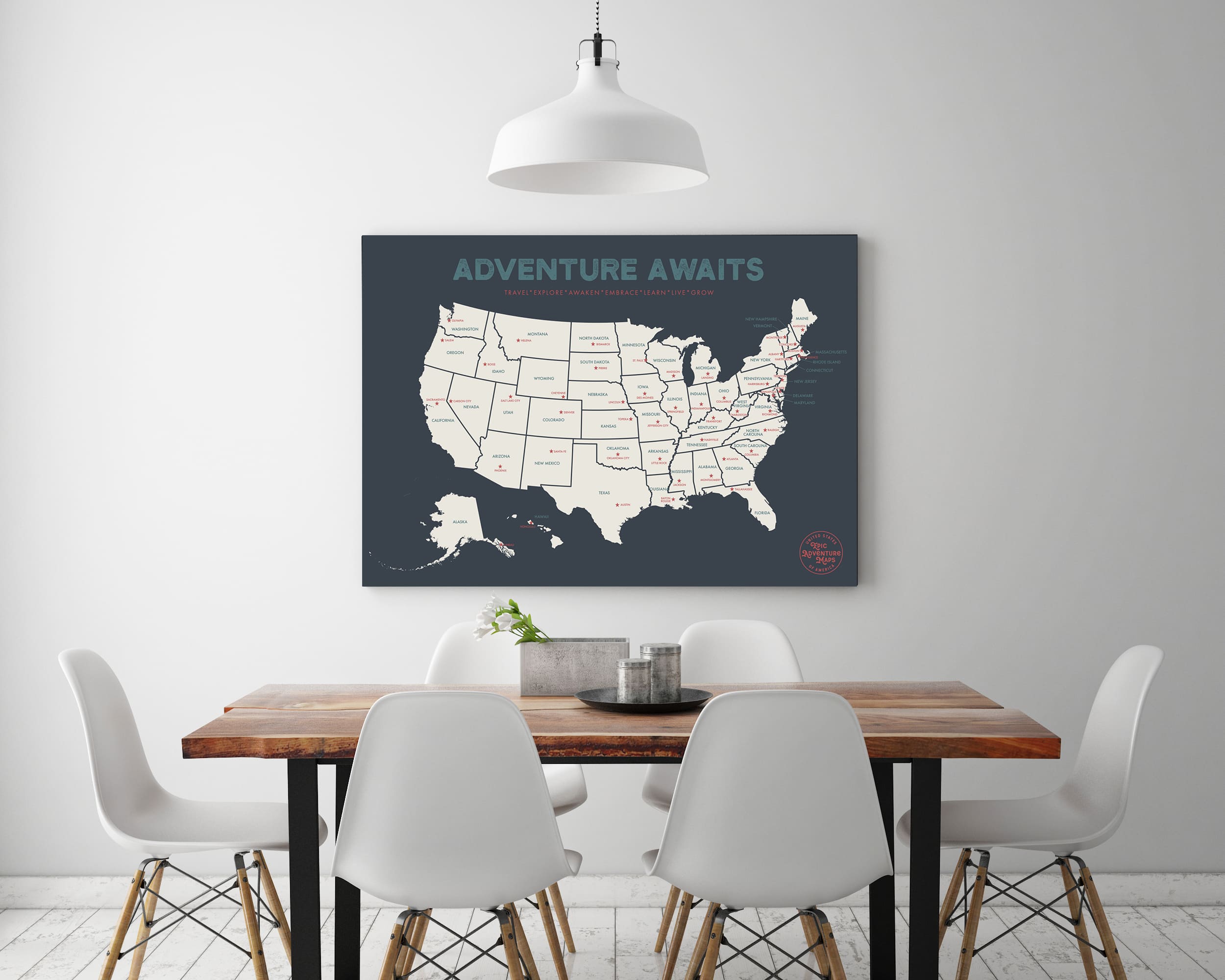 USA Pushpin Travel Map