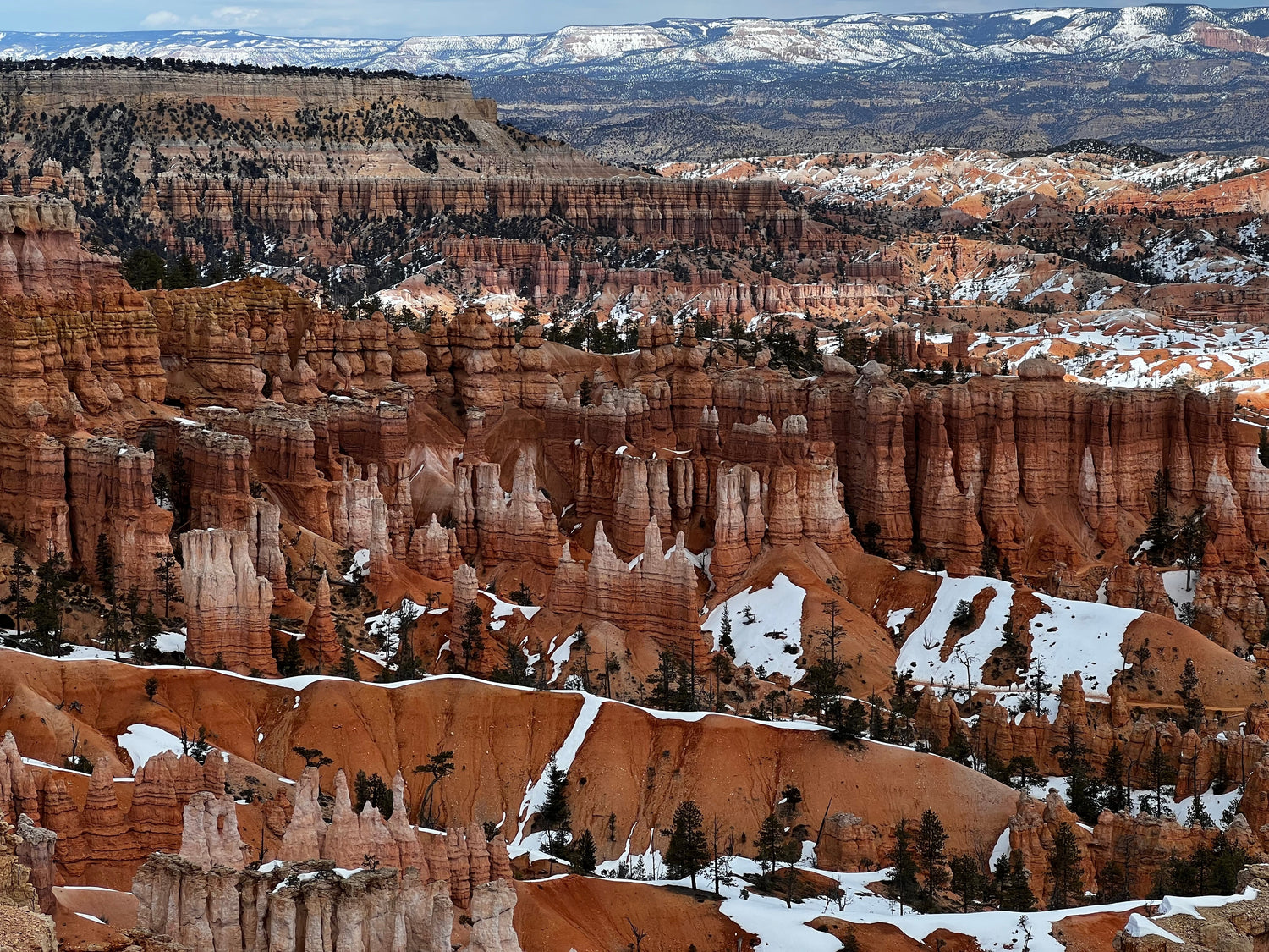 10 Best National Parks to See at Christmas With Your Family