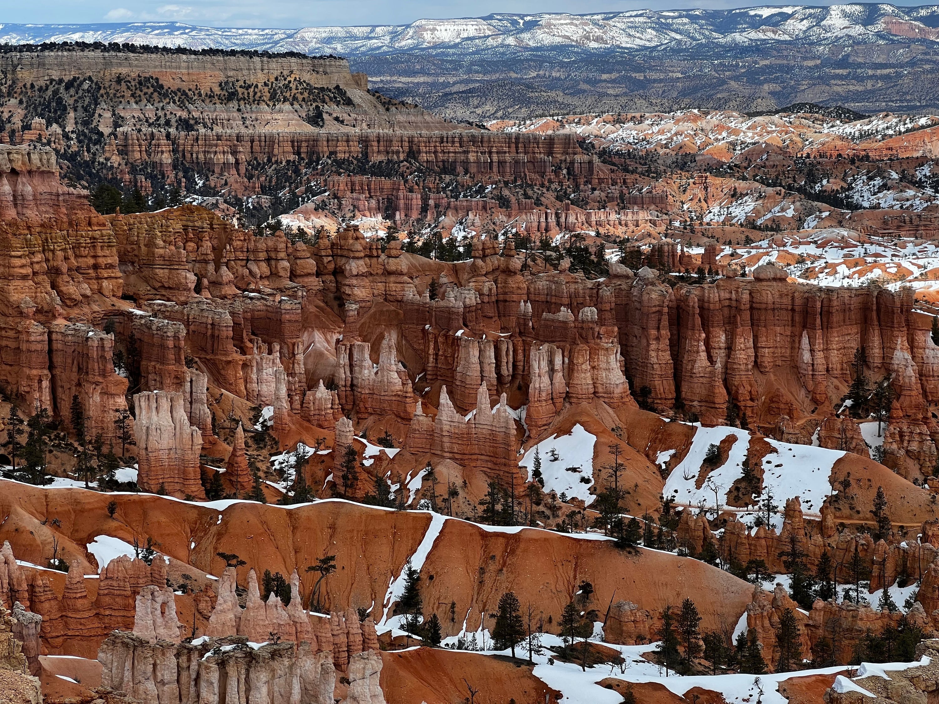 10 Best National Parks to See at Christmas With Your Family