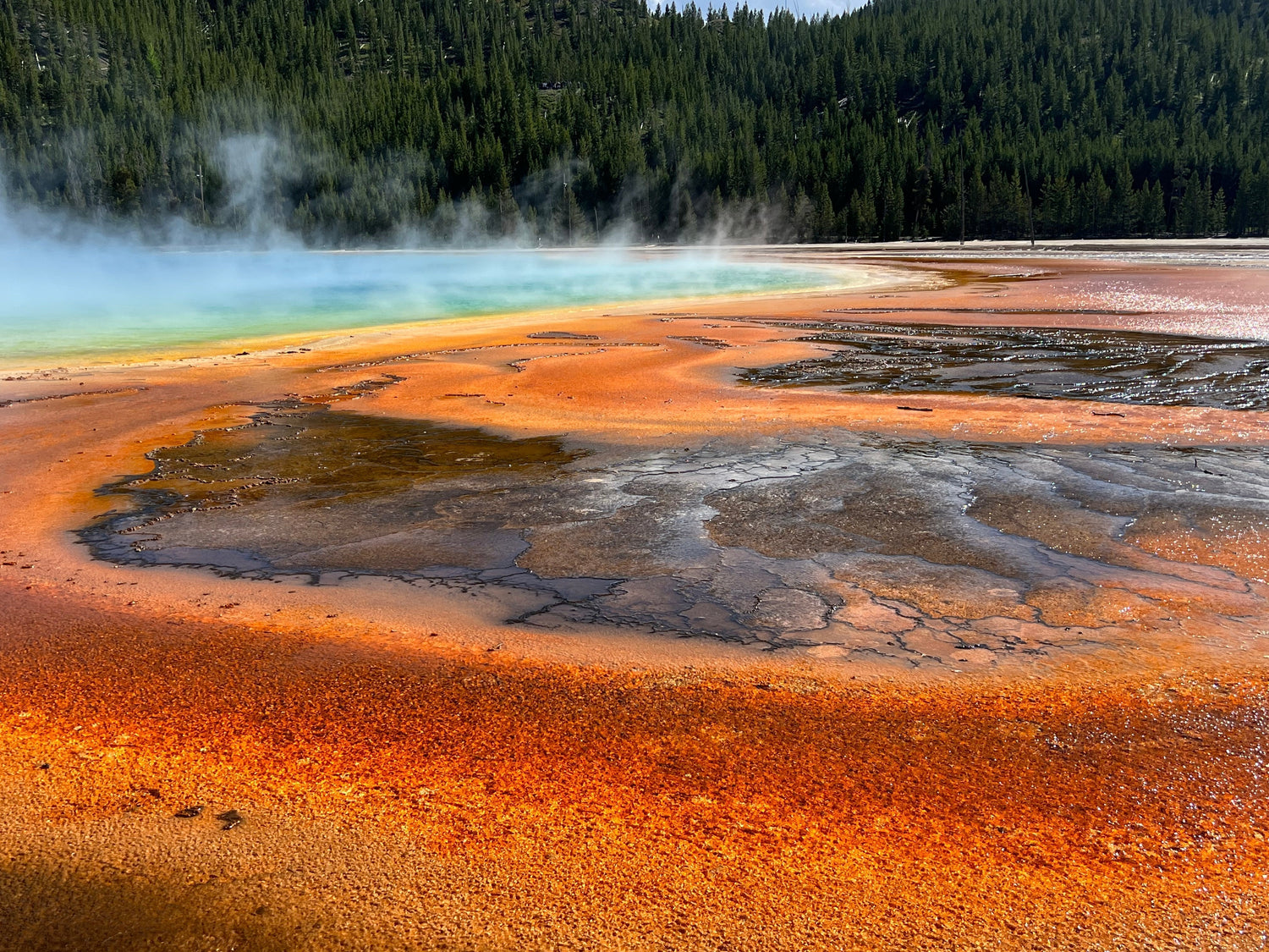 The Complete Family Guide to Yellowstone National Park