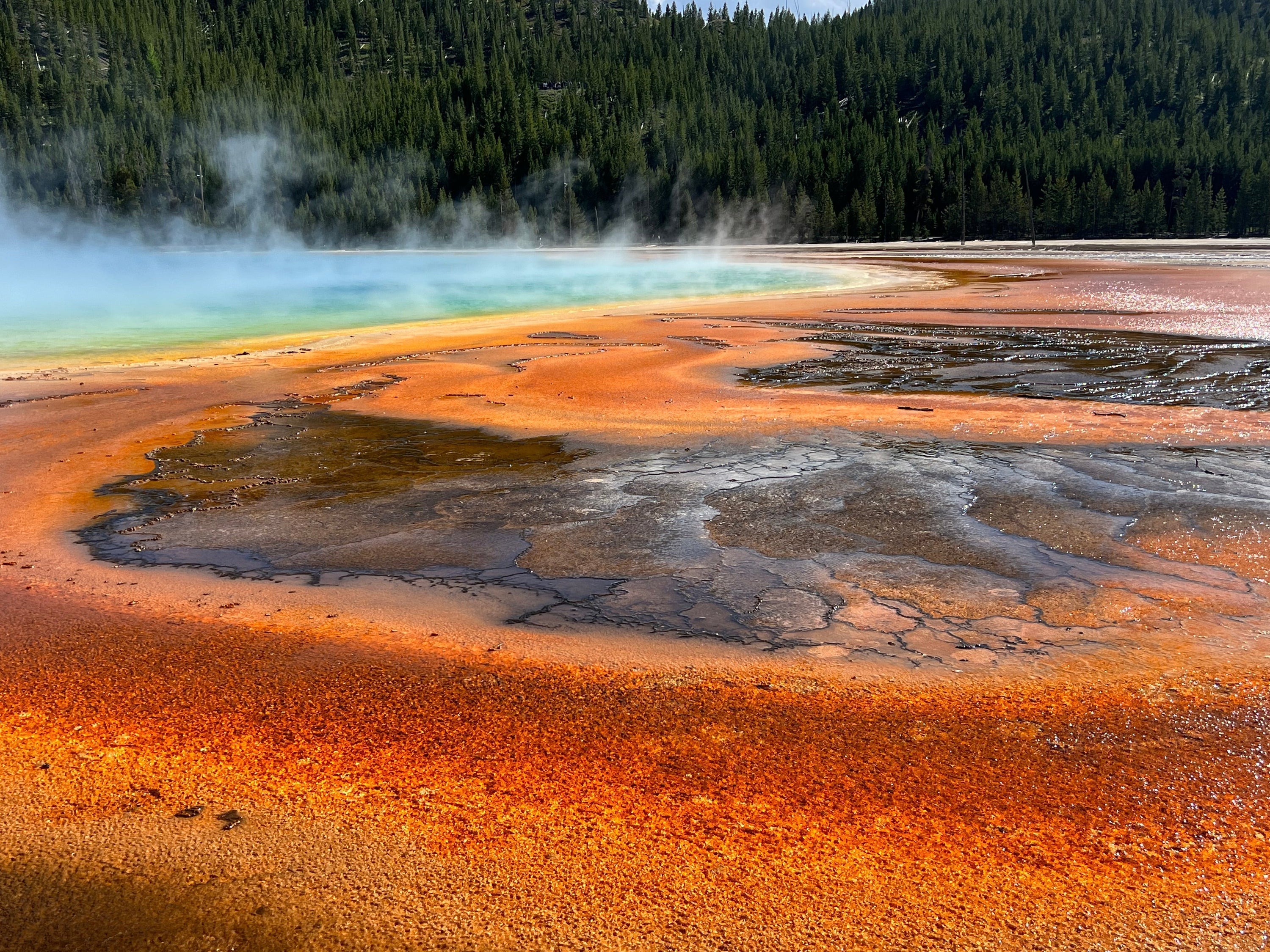 The Complete Family Guide to Yellowstone National Park