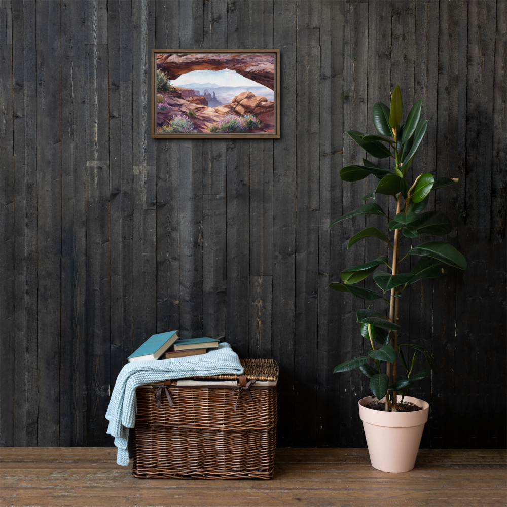 Canyonlands National Park Framed Canvas