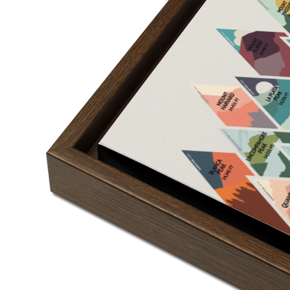 Colorado 14ers Framed Canvas | PushPin