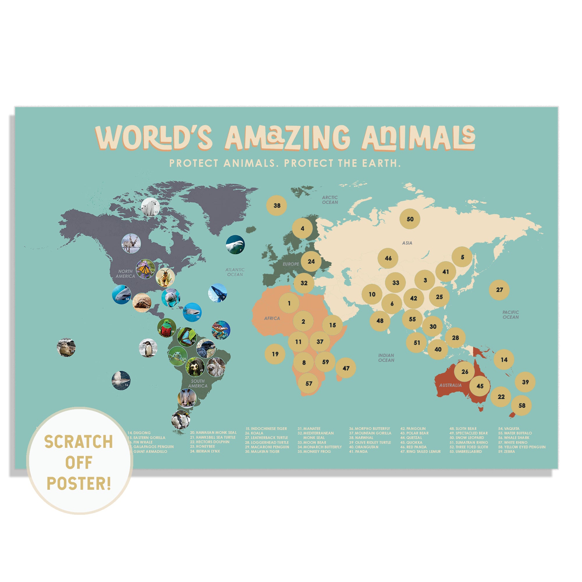 REPLOOD Scratch Off World Map Poster World Map Animals 88 x 52 cm Map :  : Stationery & Office Supplies